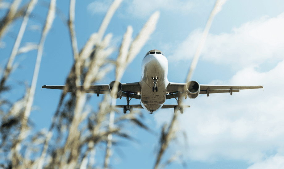 Low-angle view of a commercial airplane flying low with landing gear deployed, seen through tall grass against a blue sky