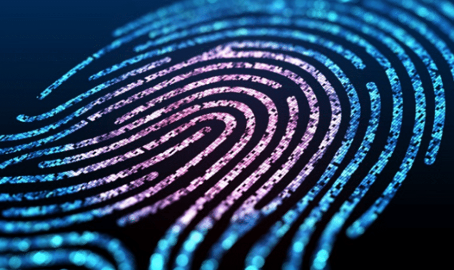 Close-up of a glowing digital fingerprint in blue and purple tones, symbolising biometric identification and cybersecurity